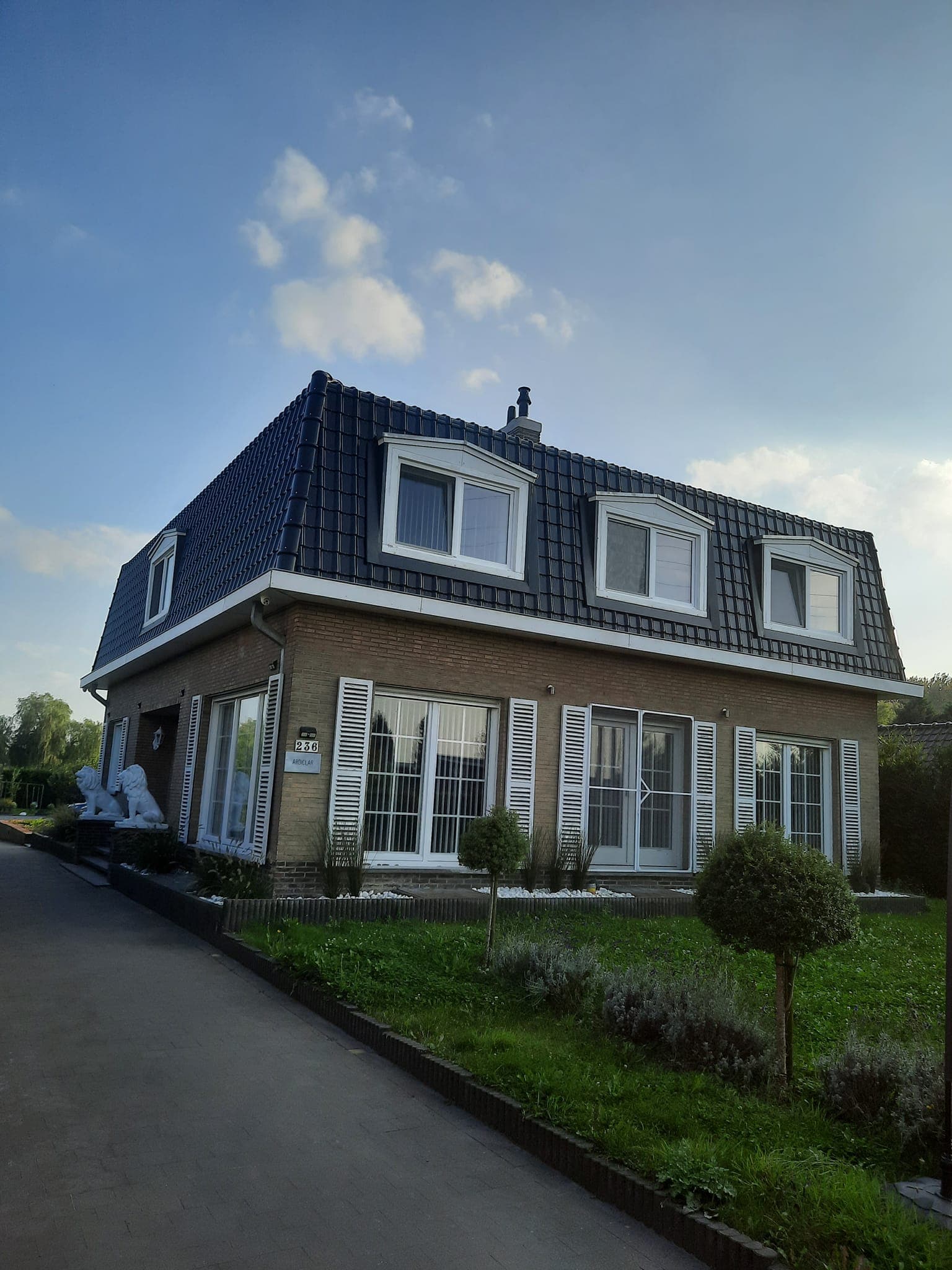 Dakrenovatie project